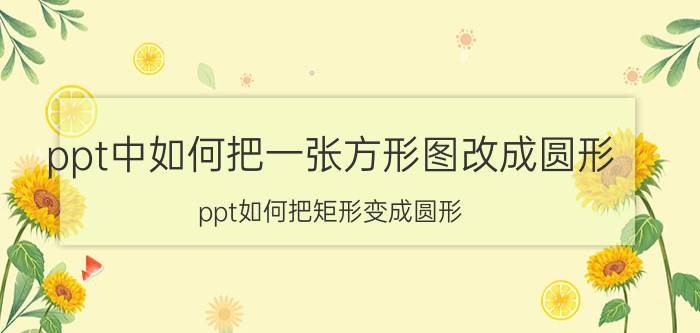 ppt中如何把一张方形图改成圆形 ppt如何把矩形变成圆形？